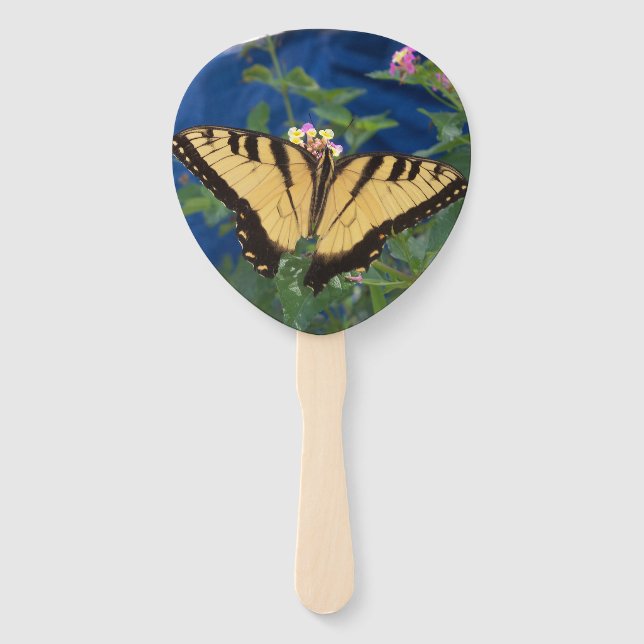 Abanico Mariposa de cerda amarilla y negra en una (Anverso)