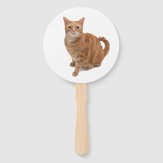 Abanico Naranja Cat Standing (Anverso)
