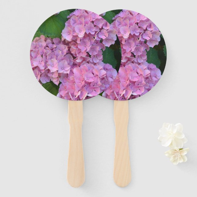 Abanico Pink Hortensia hidrangea flores (Anverso y reverso)