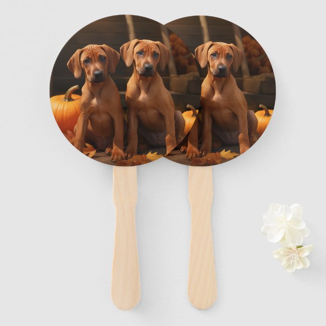Abanico Rhodesia Ridgeback Puppy Calabaza deslumbrante de  (Anverso y reverso)
