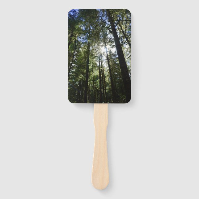 Abanico Sunlight Through Pine Trees (Anverso)