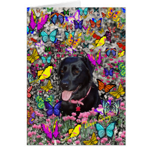 Abby en la tarjeta de mariposas - Labrador negro