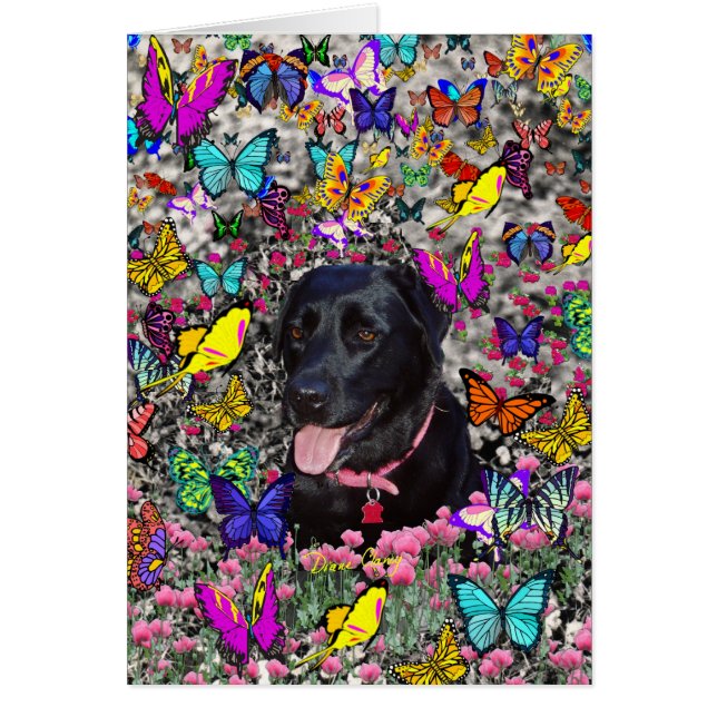 Abby en mariposas - Perro del Laboratorio Negro (Frente)
