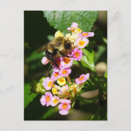 "Abeja a Lantana." Postal