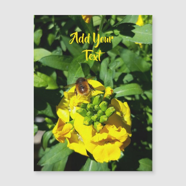 Abeja a las flores amarillas (Anverso)