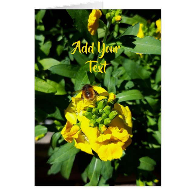 Abeja a las flores amarillas (Frente)