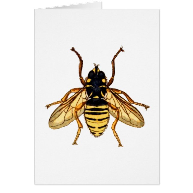 Abeja amarilla del vintage (Frente)