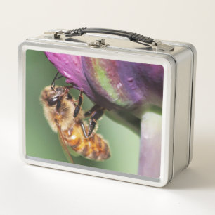 Abeja borrosa de Falln pequeña