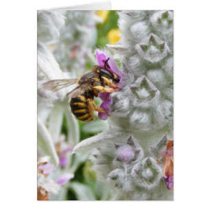 Abeja con tarjeta Lambs Ear ~