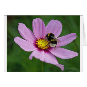 abeja de burbujas