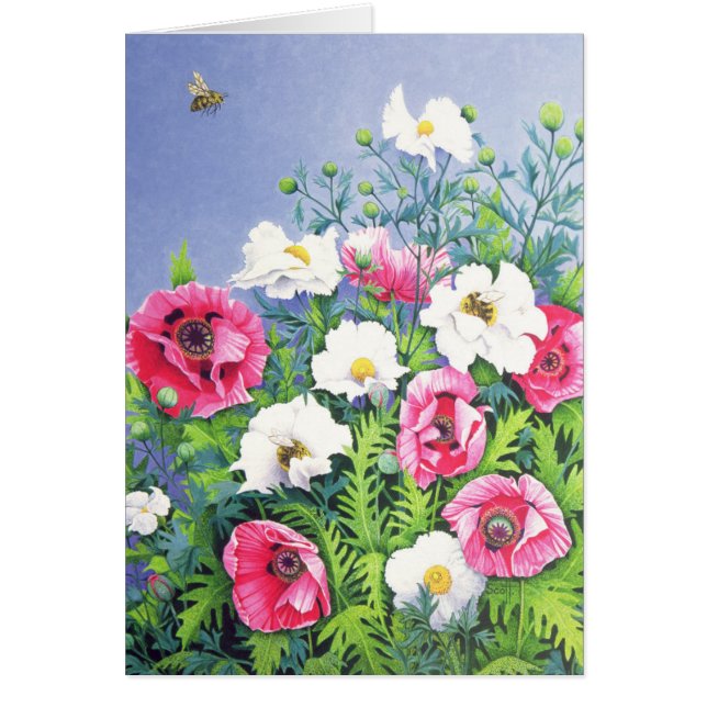 Abeja de la miel de la abeja de la miel (Frente)