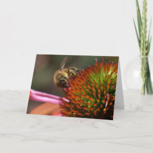 Abeja de la miel en tarjeta de felicitación de