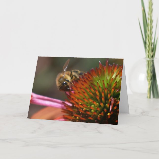 Abeja de la miel en tarjeta de felicitación de (Anverso)