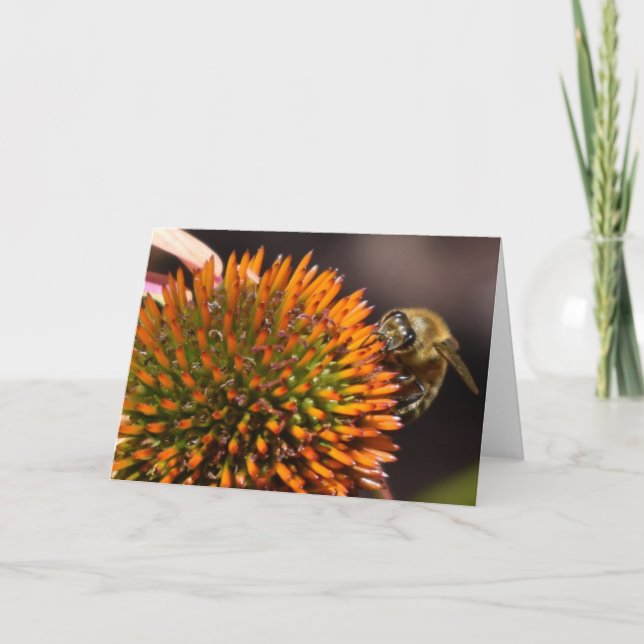 Abeja de la miel en tarjeta de felicitación de (Anverso)