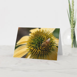 Abeja de la miel en tarjeta de felicitación de
