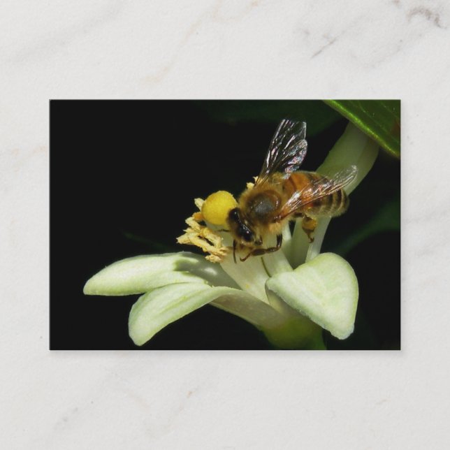 Abeja de la miel en tarjeta del ATC del flor del (Anverso)