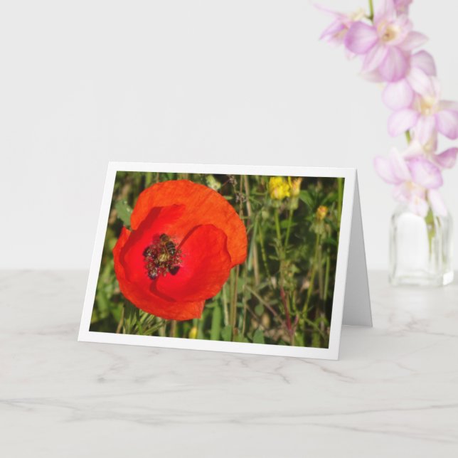 Abeja de miel con tarjeta de amapola roja (Orquídea)
