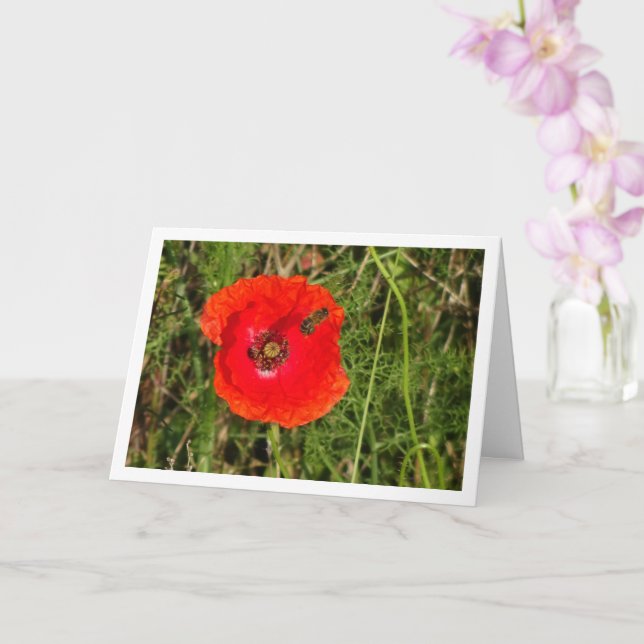 Abeja de miel con tarjeta de amapola roja (Orquídea)