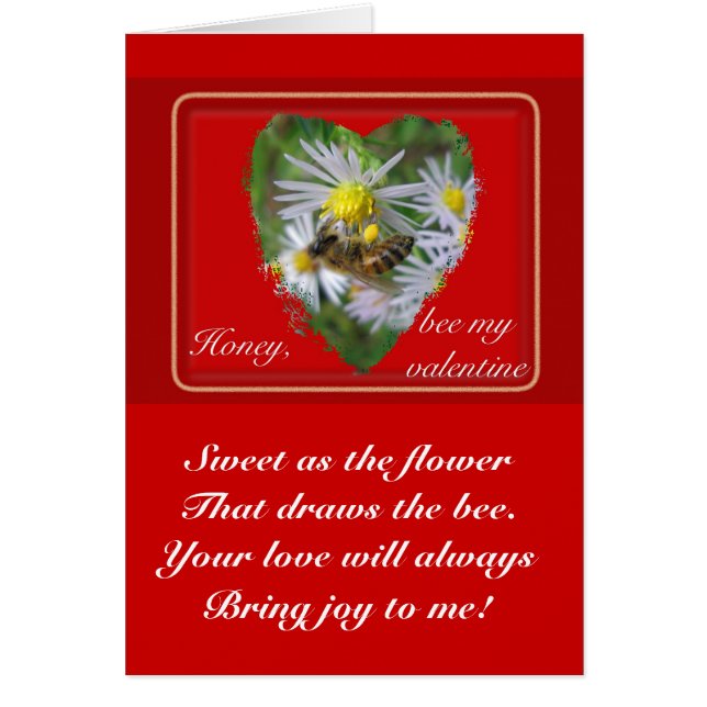 abeja de miel en Asters Valentine (Frente)