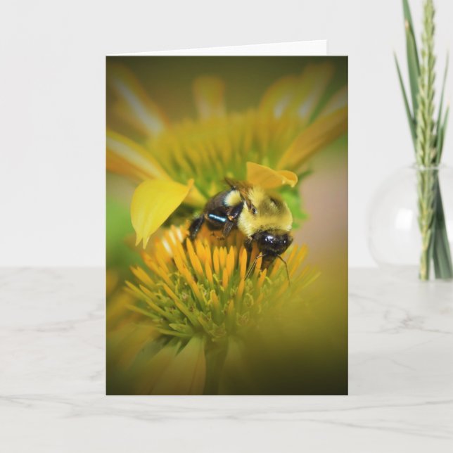 Abeja de miel en el deflor, tarjeta (Anverso)