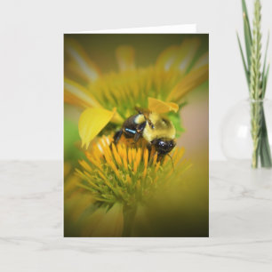 Abeja de miel en el deflor, tarjeta