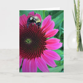 Abeja de miel en el deflor, tarjeta