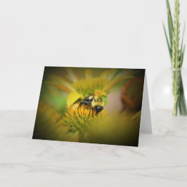 Abeja de miel en el deflor, tarjeta