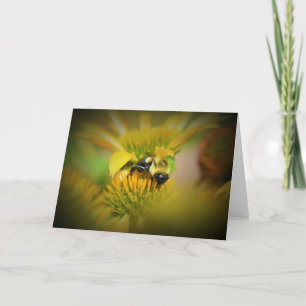 Abeja de miel en el deflor, tarjeta