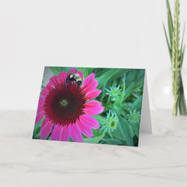 Abeja de miel en el deflor, tarjeta
