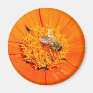 abeja de miel en imán naranja