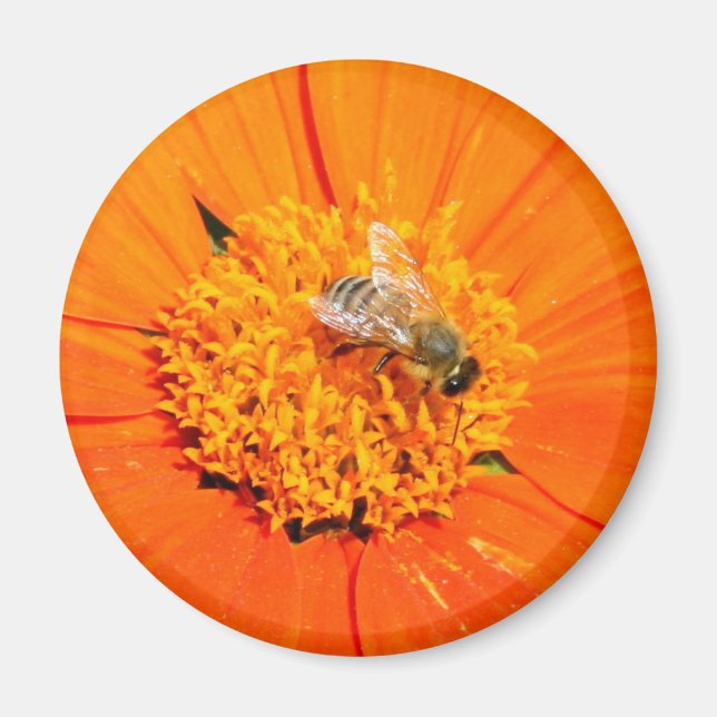 abeja de miel en imán naranja (Frente)