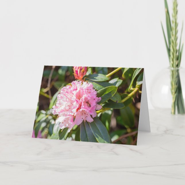 Abeja De Miel En Nota De Rododendros Rosados (Anverso)