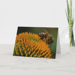 Abeja de miel en tarjeta de felicitación de deflor