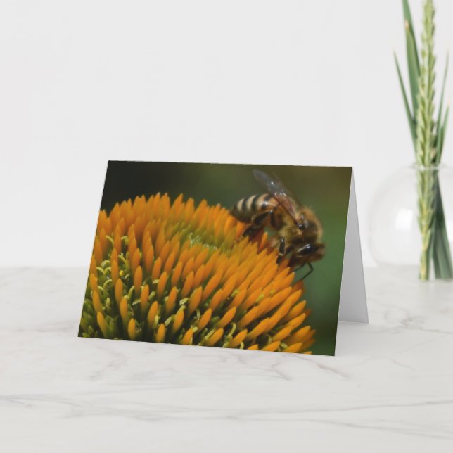Abeja de miel en tarjeta de felicitación de deflor (Anverso)