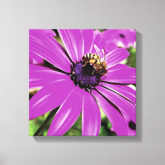 Abeja De Miel En Un Arte De Daisía Morado Africano