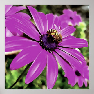 Abeja De Miel En Un Arte De Daisía Morado Africano