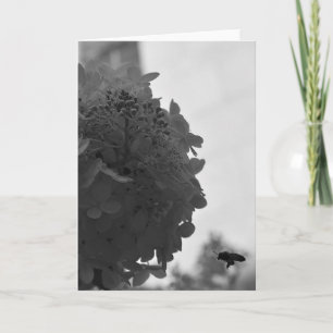 Abeja de miel, tarjeta
