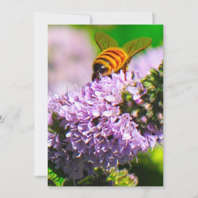 Abeja del vuelo 5 x 7 tarjetas de la expresión/de (Anverso)