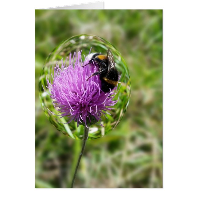 Abeja en burbuja (Frente)