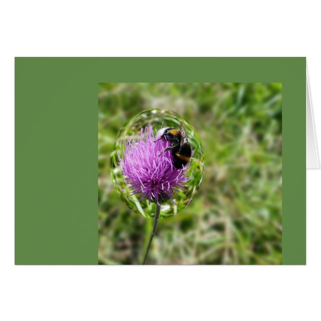 Abeja en burbuja (Anverso (Horizontal))