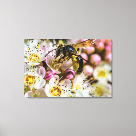 Abeja En El Barrio Impresión en Lienzo 36 x 24