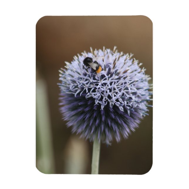 Abeja en el imán Allium (Vertical)