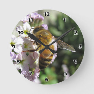 Abeja en el reloj de pared redondo del heliótropo
