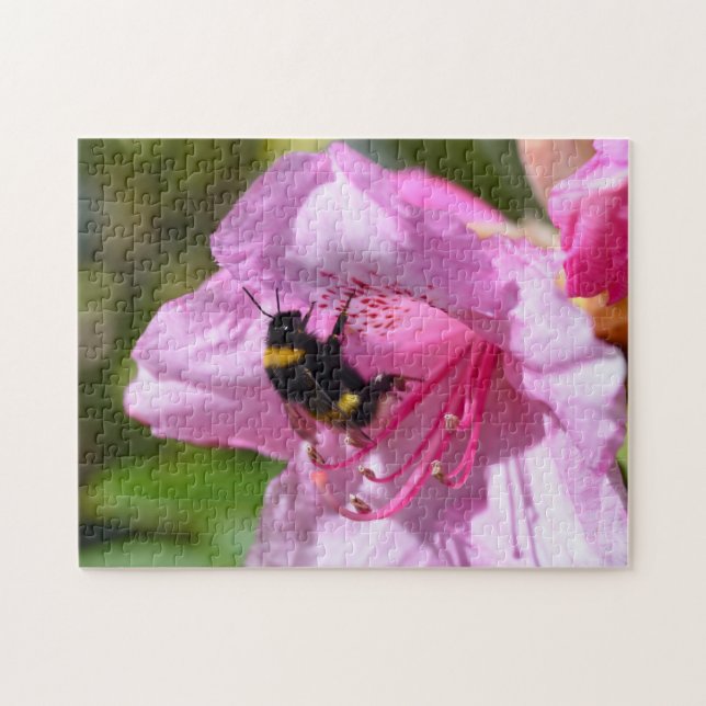 Abeja en el rompecabezas rosado de Rhododendron (Horizontal)