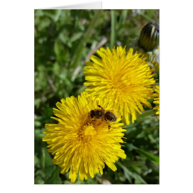 abeja en el trabajo (Frente)