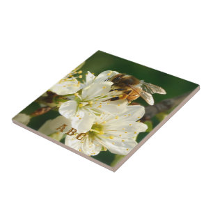 Abeja en Flor de Ciruelo Baldosa Cerámica