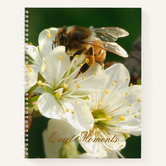 Abeja en Flor de Ciruelo Blanco Diario (Anverso)