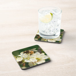 Abeja en Flor de Ciruelo Posavasos de Plástico Dur