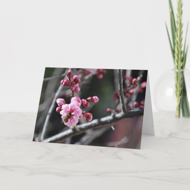 Abeja en la flor - tarjeta de felicitación (Anverso)