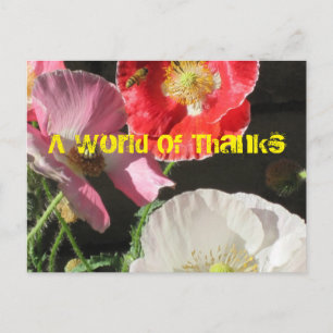 Abeja En La Tarjeta De Correo De Los Poppies